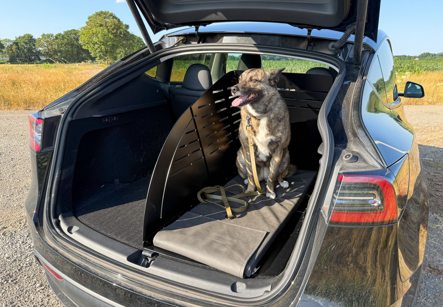 ModelDog L - Laderaumabtrennung für Tesla Model Y